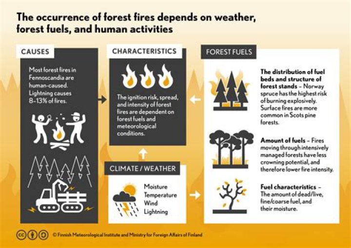 How many forest fires are caused by lightning in the US each year?