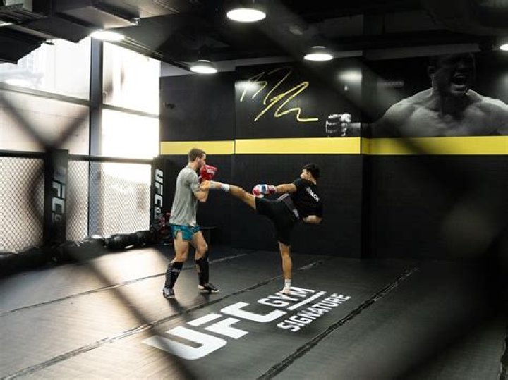 How many hours a week do UFC fighters train?