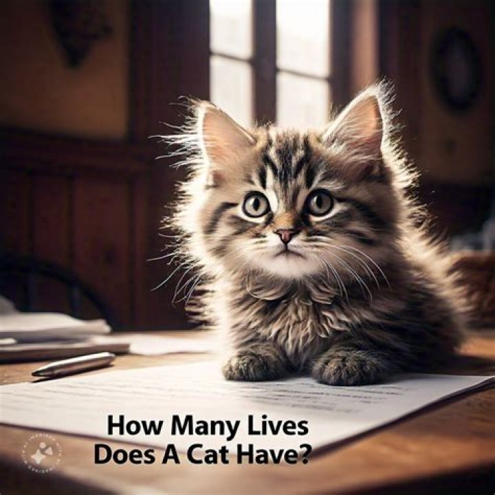 How many lives does BBH have?