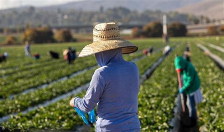 How many people are migrant workers?