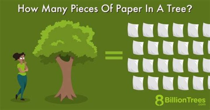 How many trees are made into paper each year?