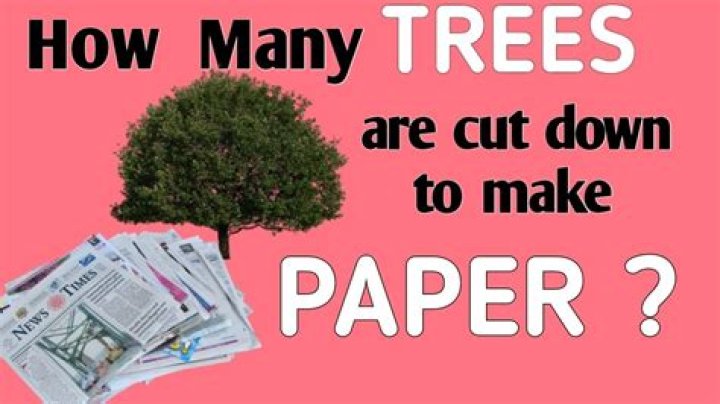 How many trees make a newspaper?