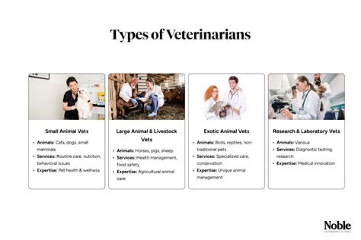 How many types of veterinary doctors are there?