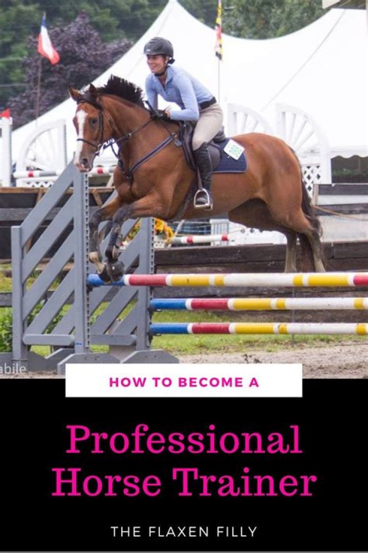 How many years does it take to become a horse trainer?