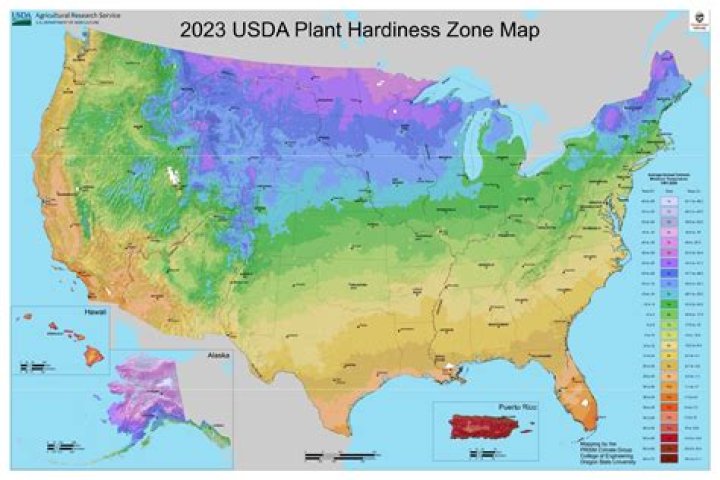 How many zones have USA?