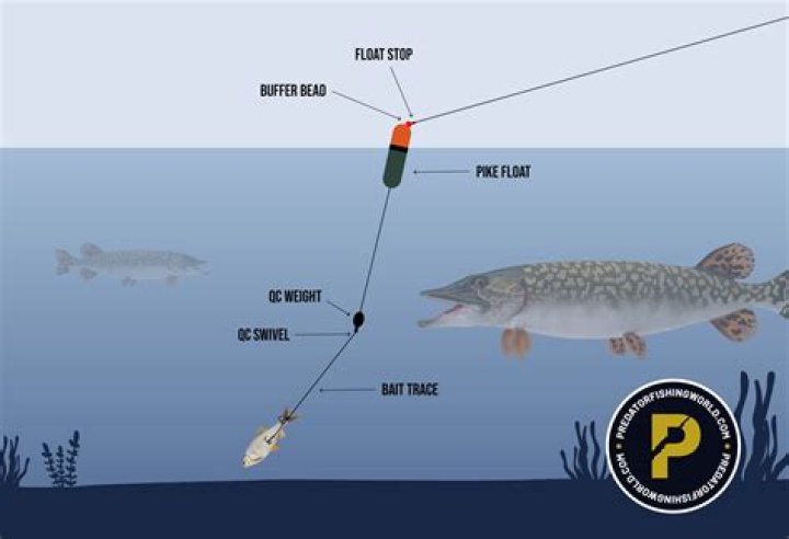 How much can fishing guides make?