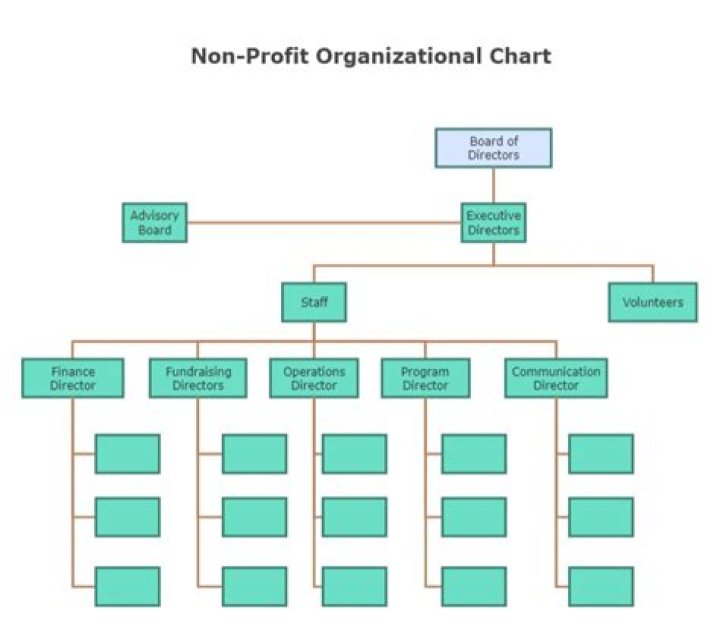 How much can non profit owners make?