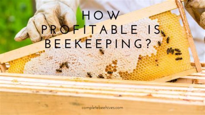 How much can you make from beekeeping?