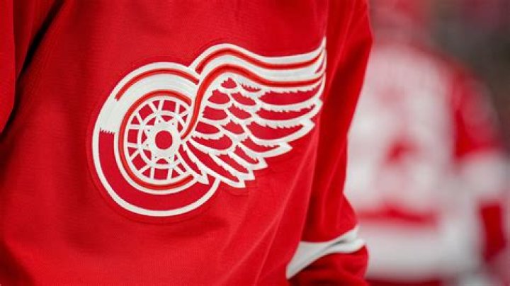 How much did Mike Ilitch pay for the Detroit Red Wings?