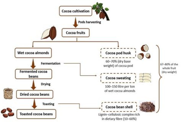 How much do cocoa farmers earn a day?
