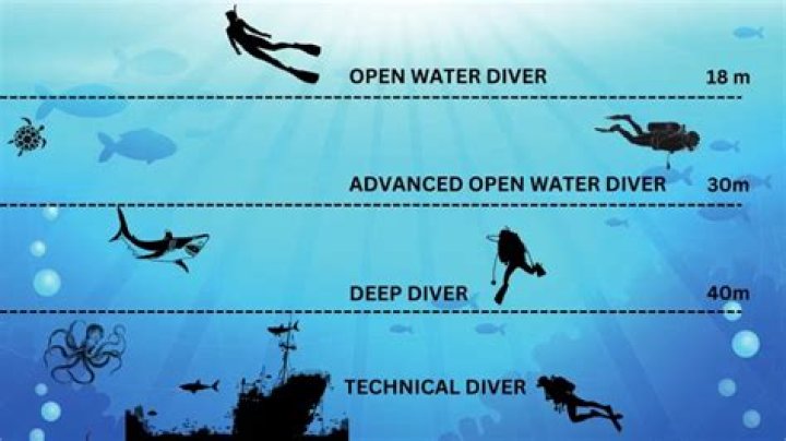 How much do deep sea divers make per hour?