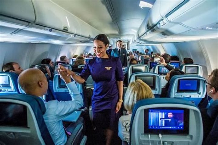 How much do flight attendants work a month?