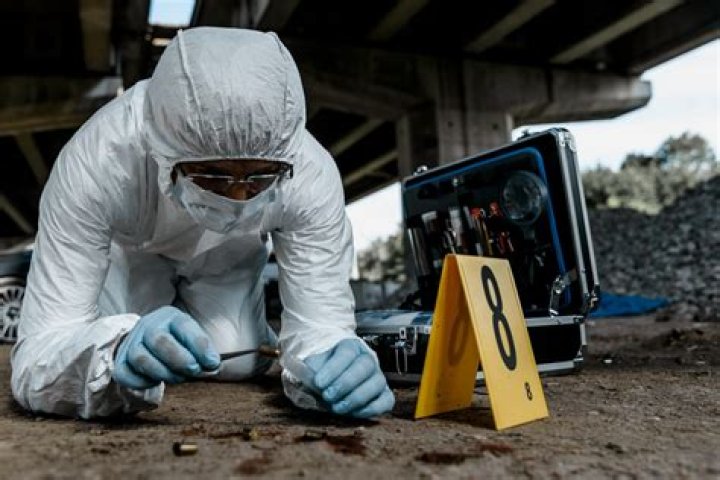 How much do homicide forensics make?