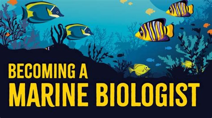 How much do Marine Biologist get paid a week?