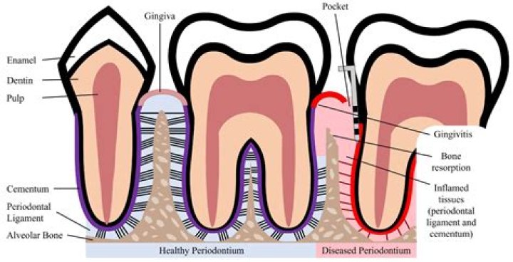 How much do periodontists make UK?