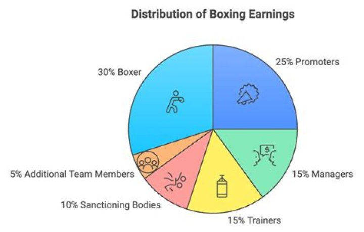 How much do pro boxers make per fight?