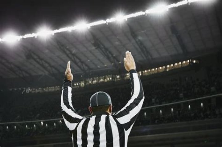 How much do professional referees get paid per game?