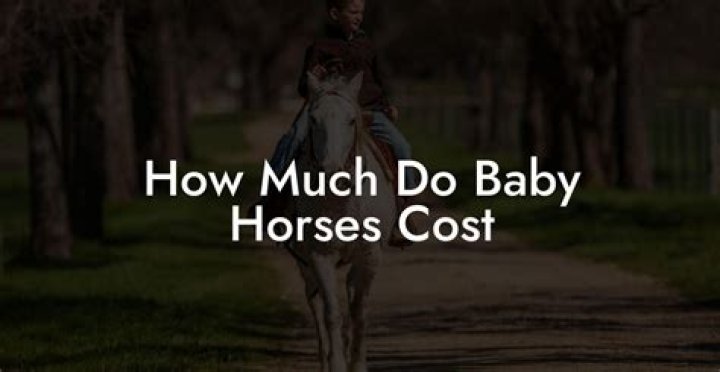 How much do racehorse breeders make?