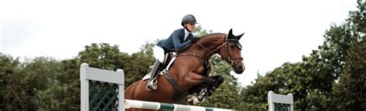 How much do Showjumpers make?