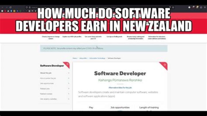 How much do software developers earn?