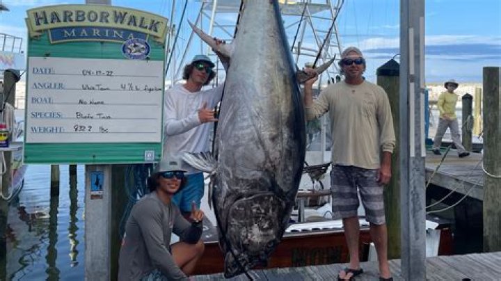 How much do tuna fishermen make a year?