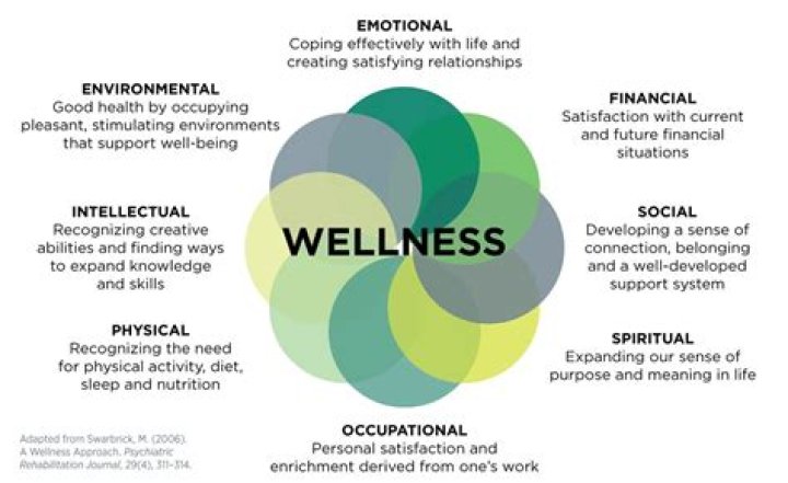 How much do wellness practitioners make?