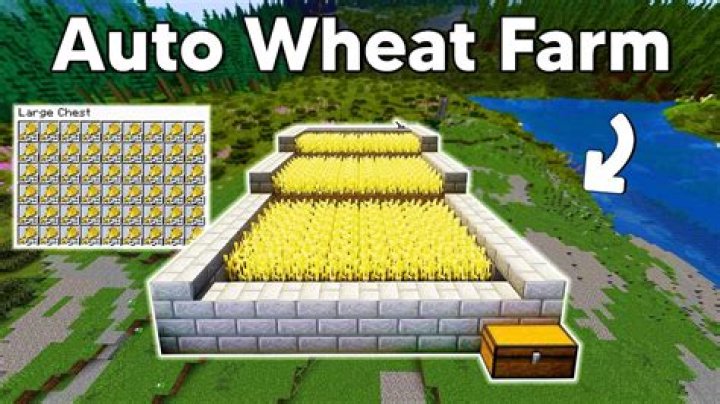 How much do wheat farmers make?