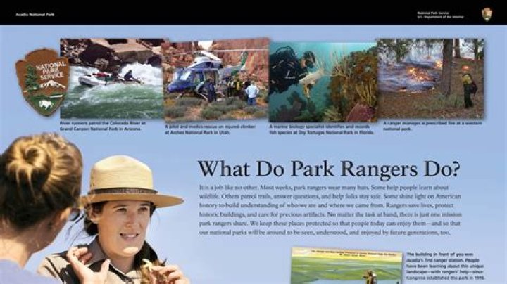 How much do wildlife rangers make?