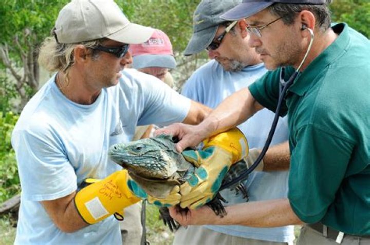 How much do zoologists with a PhD make?