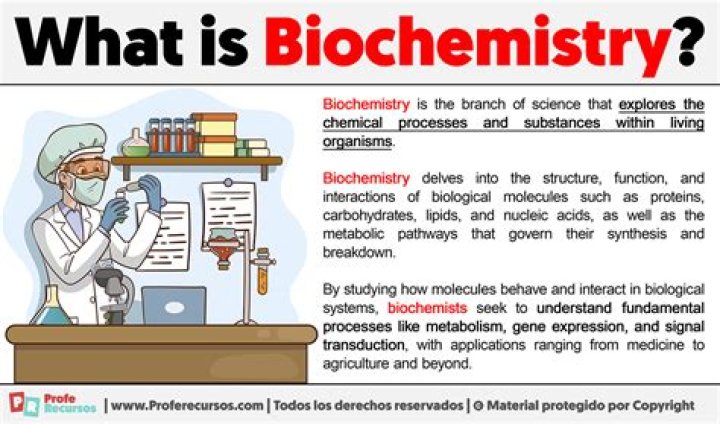 How much does a Biochemist get paid an hour?