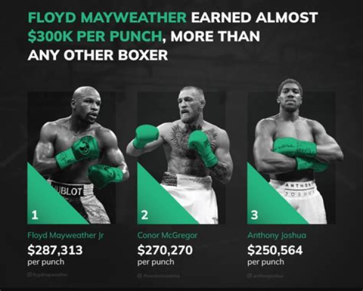 How much does a boxer make for a title fight?