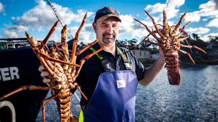 How much does a lobster fisherman make in Nova Scotia?