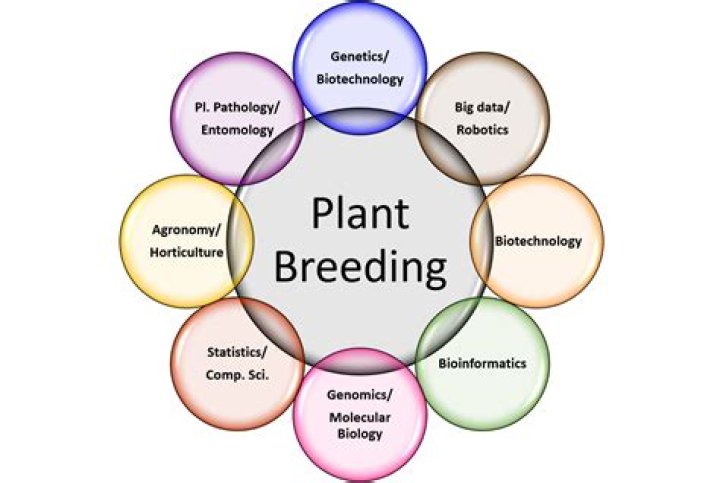 How much does a plant breeding technician make?