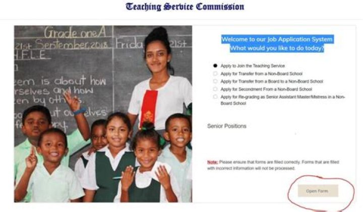How much does a primary school teacher earn in Mauritius?
