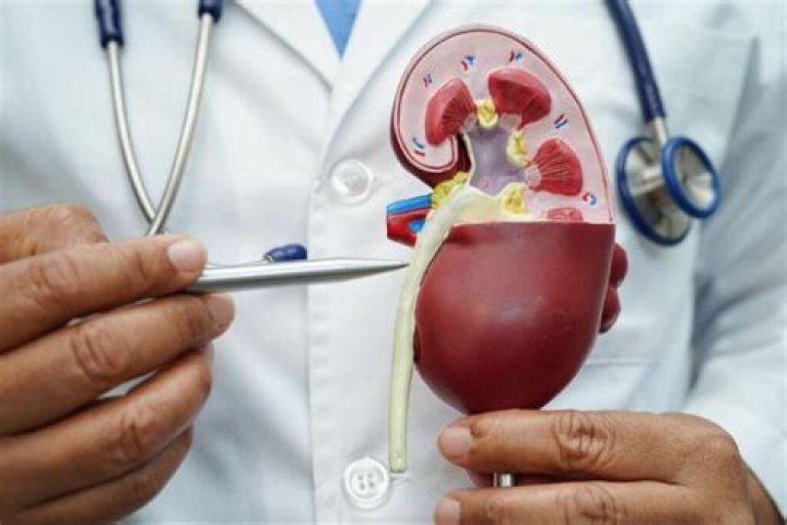 How much does a urologist make a day?