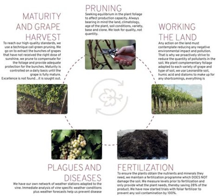 How much does a viticulturist get paid?