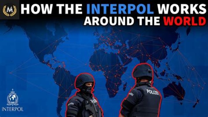 How much does an Interpol agent get paid?