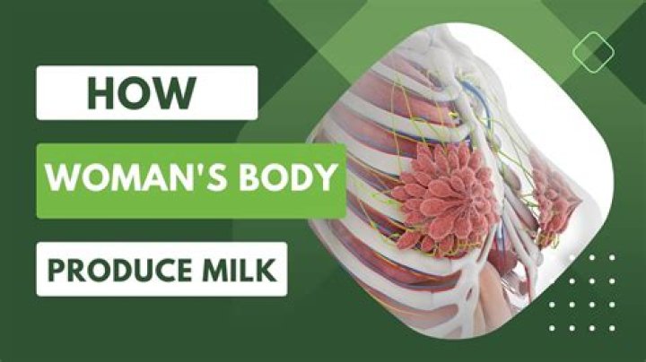 How much garbage do humans produce every year?