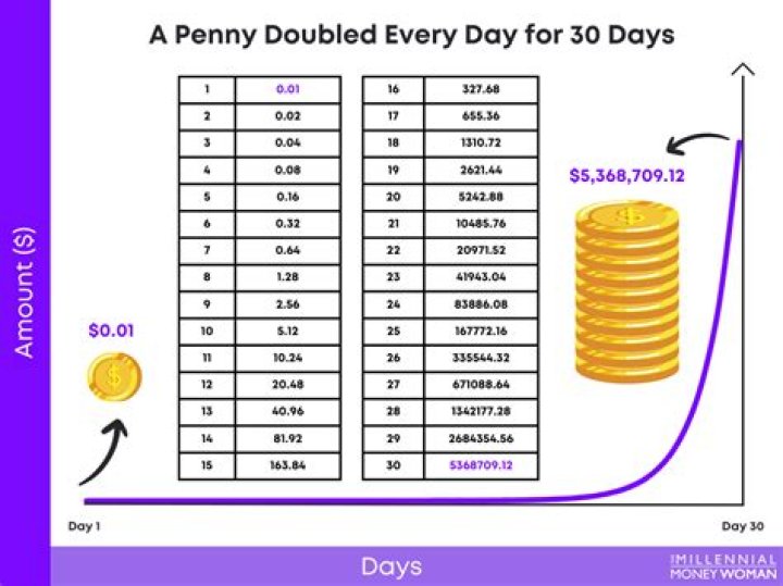 How much is 1 penny a day doubled for 30 days equation?