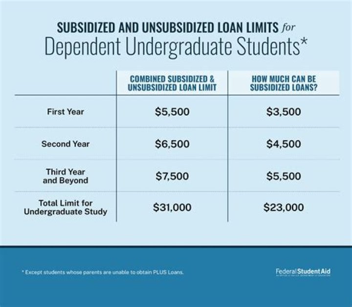 How much is the usual student loan?