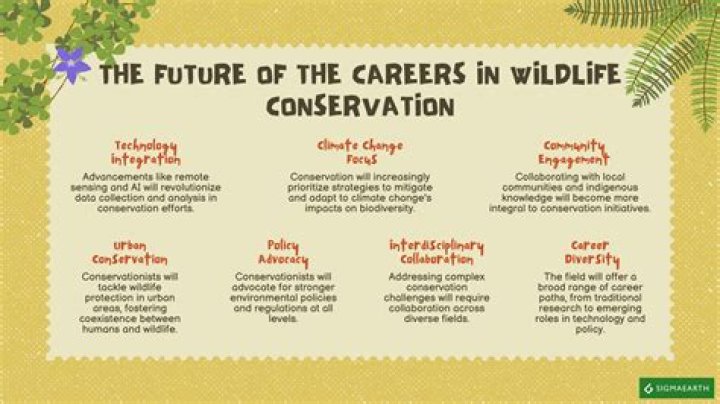 How much money do wildlife conservationists make?