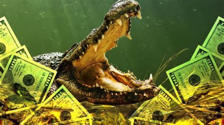 How much money does a gator hunter make?