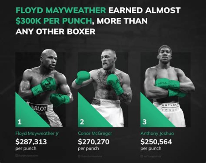 How much money does a male boxer make?