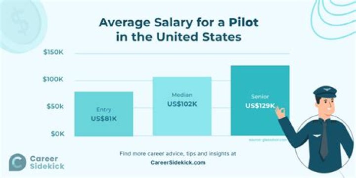 How much money does a pilot make per flight?