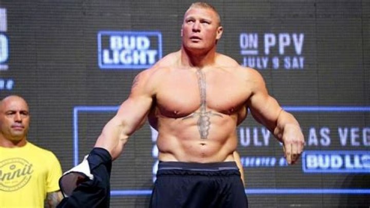 How much money does Brock Lesnar have?