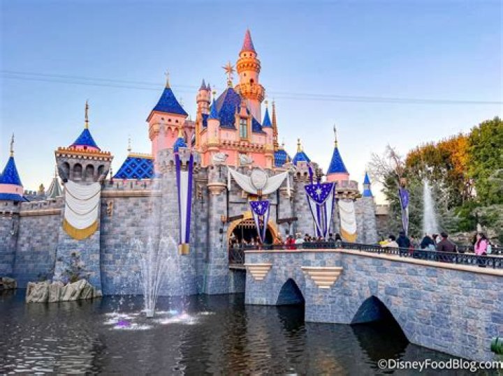 How much money does Disneyland bring in a year?