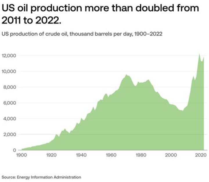 How much oil does the average American use in a year?