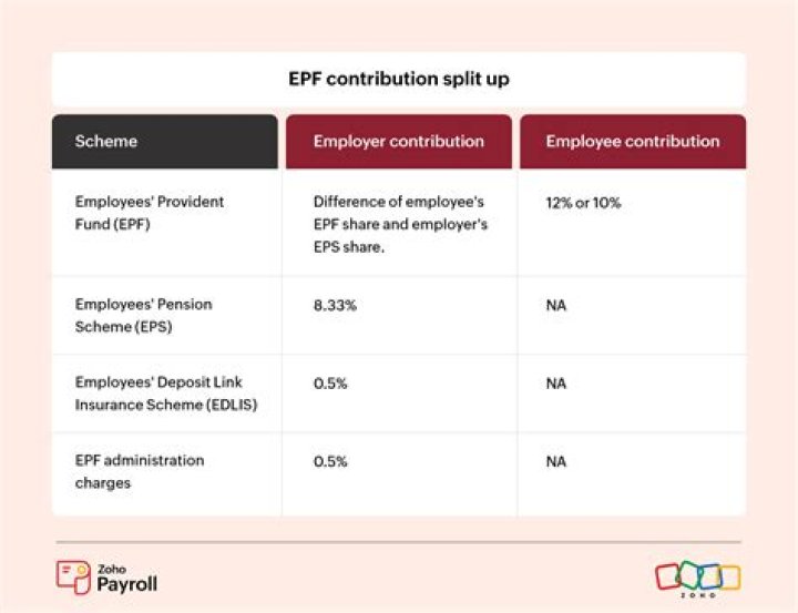How much PF does employer contribute?