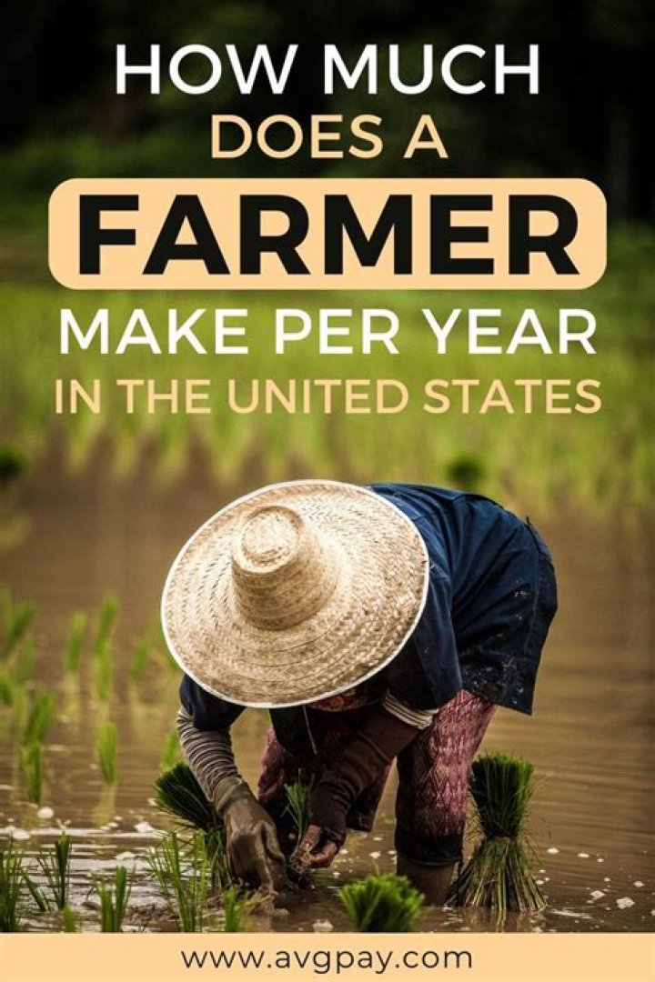 How much profit does the average farmer make?