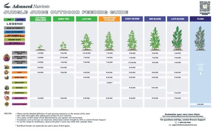 How much revenue does marijuana make?